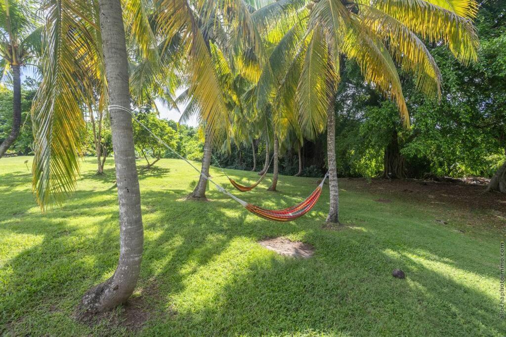 Suite Tropicale Village Vacances Sainte-Luce Exterior photo
